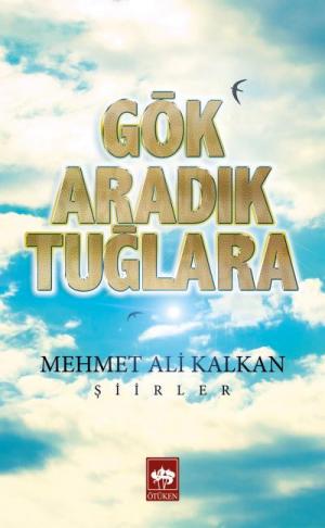 Gök Aradık Tuğlara